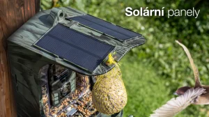 EVOLVEO StrongVision BirdFeeder - Chytré krmítko pro ptáky s kamerou a solárním panelem - obrázek 5