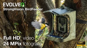 EVOLVEO StrongVision BirdFeeder - Chytré krmítko pro ptáky s kamerou a solárním panelem - obrázek 6