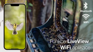 EVOLVEO StrongVision BirdFeeder - Chytré krmítko pro ptáky s kamerou a solárním panelem - obrázek 9