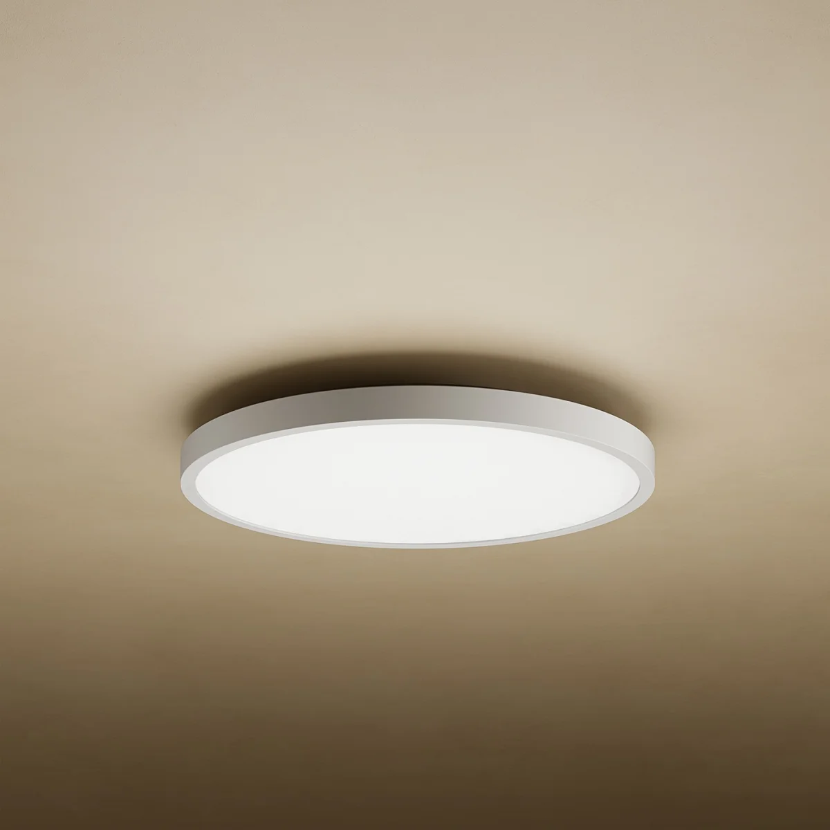 Xiaomi Mi Smart LED Ceiling Light D20