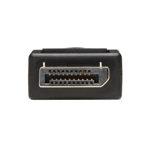 Video adaptér DisplayPort / DVI (Samec/Samice), 15.2cm - obrázek 2