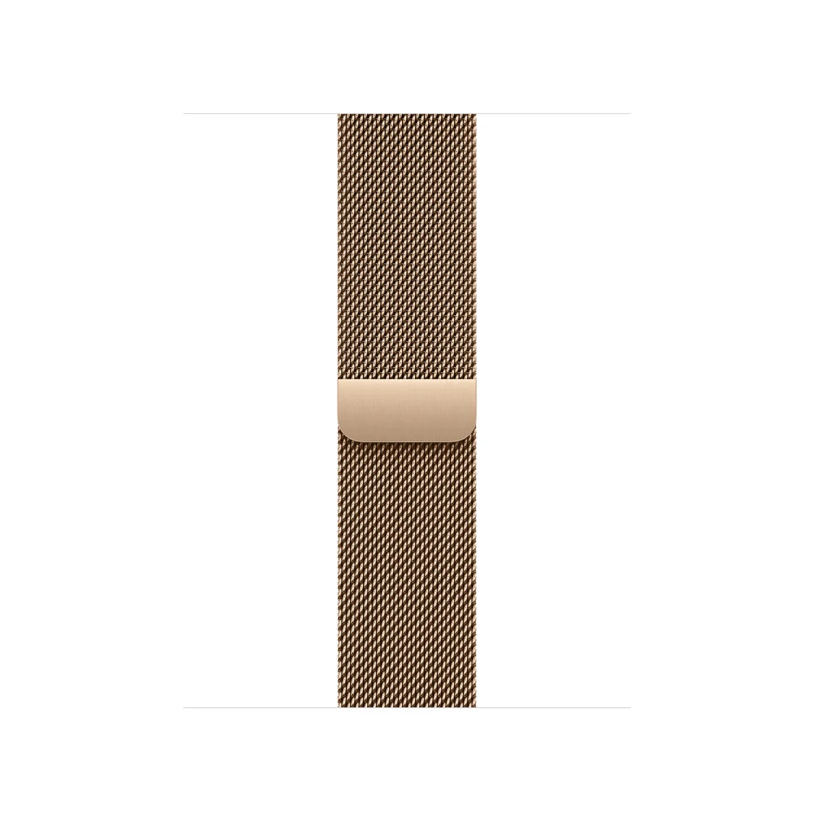 Watch Acc/42/Gold Milanese Loop