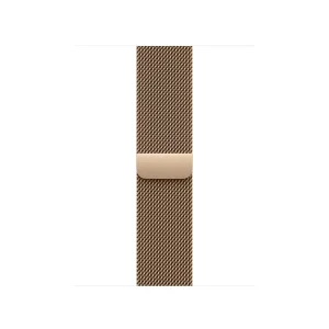 Watch Acc/42/Gold Milanese Loop