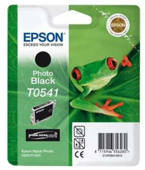 Inkoustová náplň Epson T0541 foto černá R800