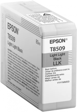 Epson Singlepack Photo Light Light Black T850900 UltraChrome HD ink 80ml