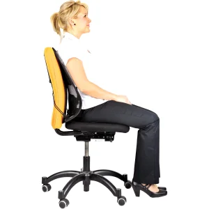 Fellowes Zádová opěrka Profesional síťovaná - obrázek 4