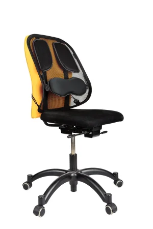 Fellowes Zádová opěrka Profesional síťovaná