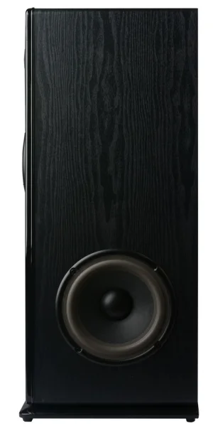 C-TECH Impressio Virtus/Stereo/100W/Černá - obrázek 5