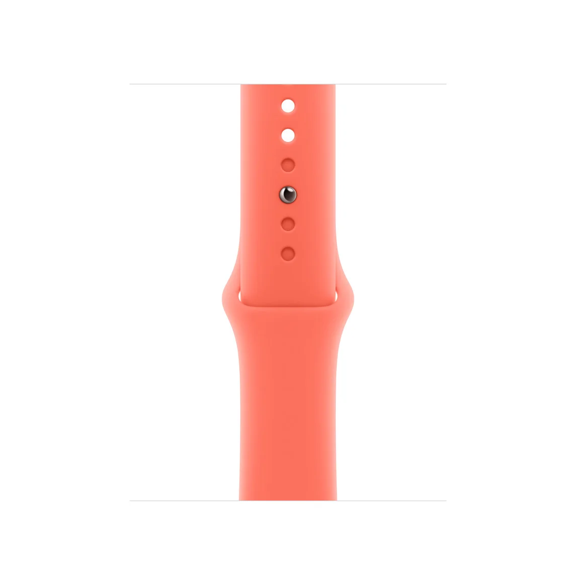 Watch Acc/42/Tangerine Sport Band - S/M