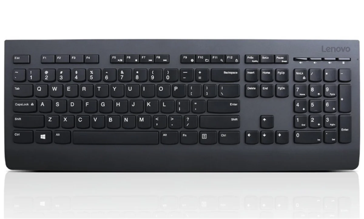 Lenovo Professional/Bezdrátová USB/SK layout/Černá