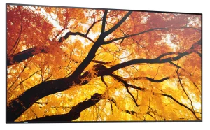 SHARP MultiSync M502 50" VA 4K UHD 60Hz Monitor - obrázek 2