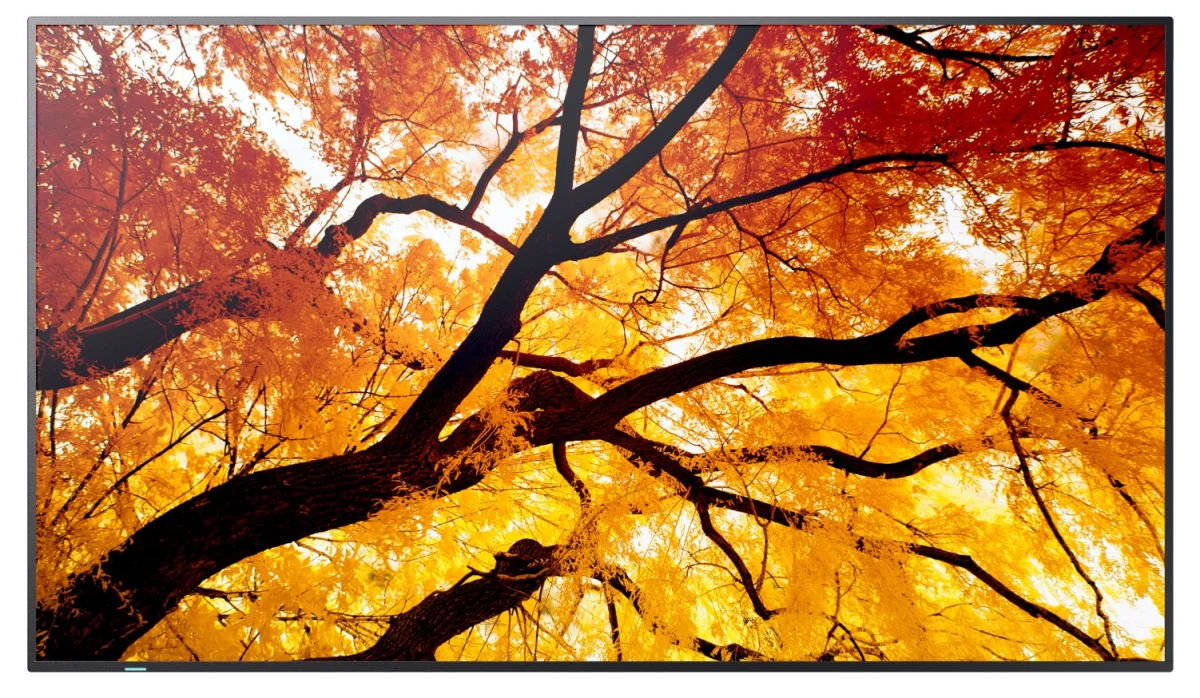 SHARP MultiSync M502 50" VA 4K UHD 60Hz Monitor