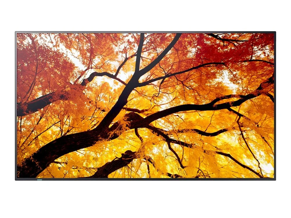 65" LED SHARP M652,3840x2160,IPS,24/7,550cd