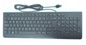 Lenovo Essential Wired Keyboard/Drátové USB-A/CZ/SK/Černá