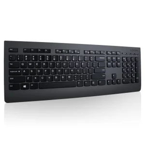Lenovo Professional Wireless Keyboard/Bezdrátové USB/CZ/SK/Černá - obrázek 3
