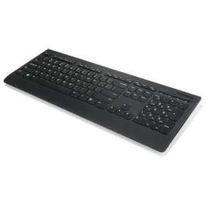Lenovo Professional Wireless Keyboard/Bezdrátové USB/CZ/SK/Černá - obrázek 4