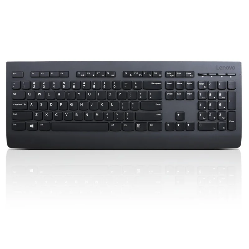 Lenovo Professional Wireless Keyboard/Bezdrátové USB/CZ/SK/Černá