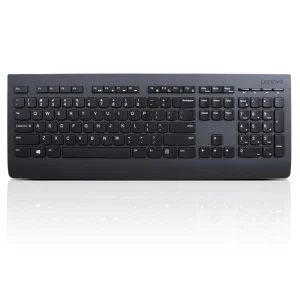 Lenovo Professional Wireless Keyboard/Bezdrátové USB/CZ/SK/Černá