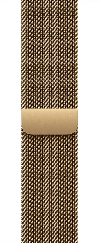 Watch Acc/40/Radiant Gold Milanese Loop