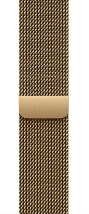 Watch Acc/40/Radiant Gold Milanese Loop