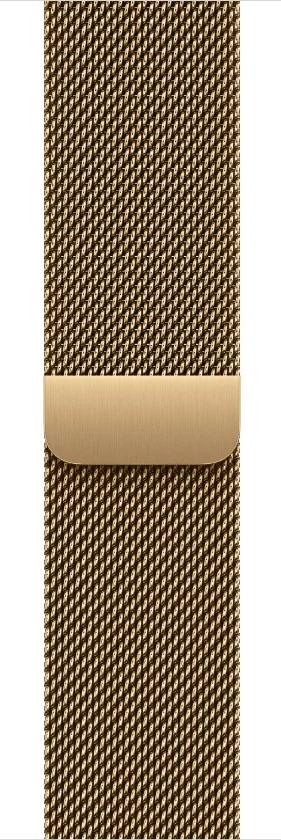 Watch Acc/42/Radiant Gold Milanese Loop