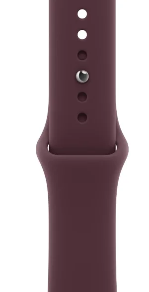 Watch Acc/42/Burgundy Sport Band - M/L