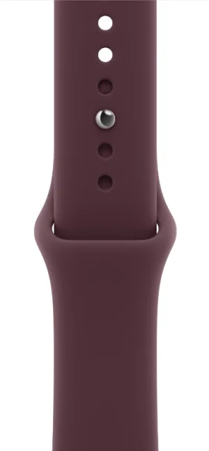 Watch Acc/40/Burgundy Sport Band - M/L