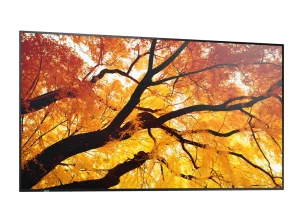 86" LCD SHARP M862,3840x2160,IPS,24/7,500cd - obrázek 12