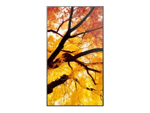 86" LCD SHARP M862,3840x2160,IPS,24/7,500cd - obrázek 4