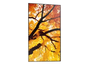 86" LCD SHARP M862,3840x2160,IPS,24/7,500cd - obrázek 5
