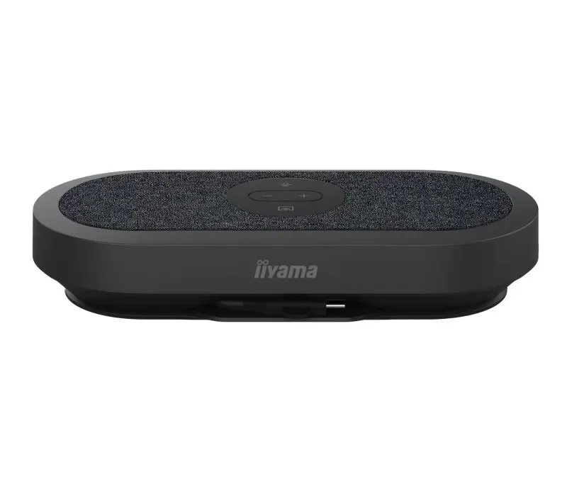 iiyama - mic and speaker