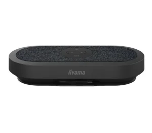 iiyama - mic and speaker
