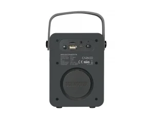 CARNEO F90 FM rádio, BT reproduktor, black/wood - obrázek 2