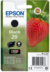 Epson Singlepack Black 29 Claria Home Ink
