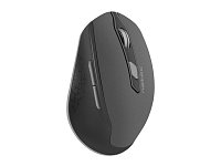 Tichá bezdrátová myš Natec Siskin 2400 DPI, černá