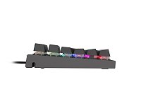 Mechanická klávesnice Genesis Thor 300 RGB, US layout, RGB podsvícení, software, Outemu Brown