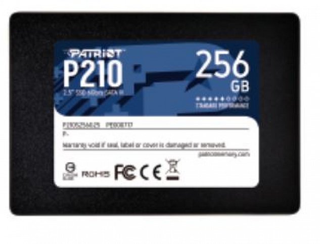 PATRIOT P210/256GB/SSD/2.5