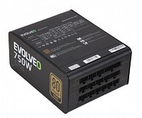 EVOLVEO G750 zdroj 750W, 80+ GOLD, 90% účinnost, aPFC, 140mm ventilátor, retail