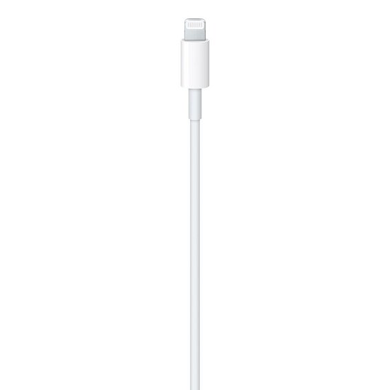 USB-C to Lightning Cable (1 m) / SK