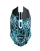 TRUST BASICS GAMING WIRELESS MOUSE