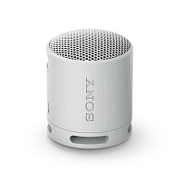 Sony SRS-XB100, šedá