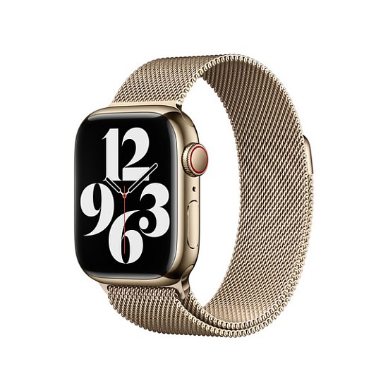 Watch Acc/45/Gold Milanese Loop