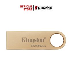 256GB Kingston USB 3.2 DTSE9 220/100MB/s
