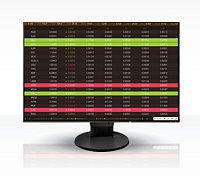 EIZO FlexScan/EV2456/24,1