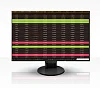 EIZO FlexScan/EV2456/24,1"/IPS/1920x1200/60Hz/5ms/Black/5R