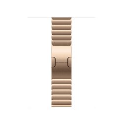 Watch Acc/42/Gold Link Bracelet