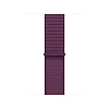 Watch Acc/40/Plum Sport Loop