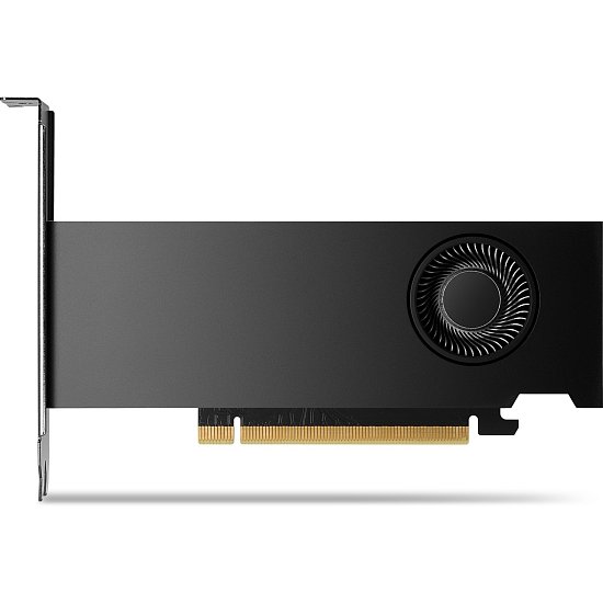 HP NVIDIA RTX 2000 Ada/16GB/GDDR6