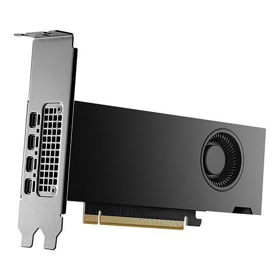 NVIDIA RTX 2000 Ada Generation/16GB/GDDR6