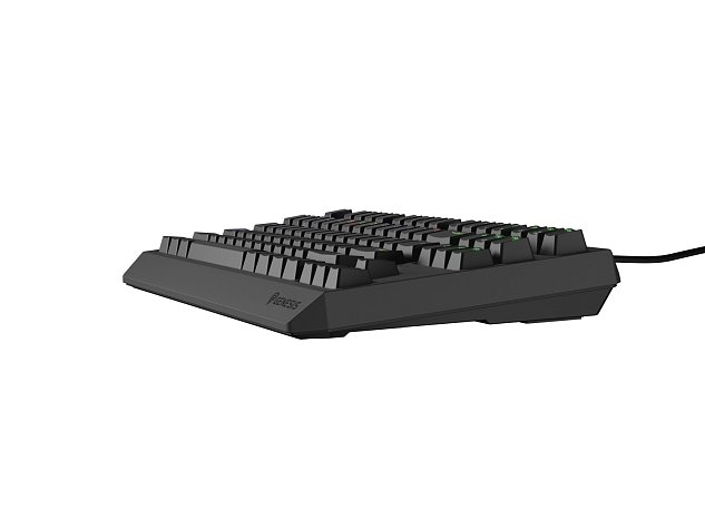 Genesis herní klávesnice THOR 230/TKL/RGB/Outemu Red/Drátová USB/US layout/Černá